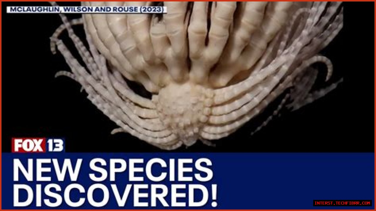 Unveiling The World's Dimmest: Discoveries In Animal Intelligence